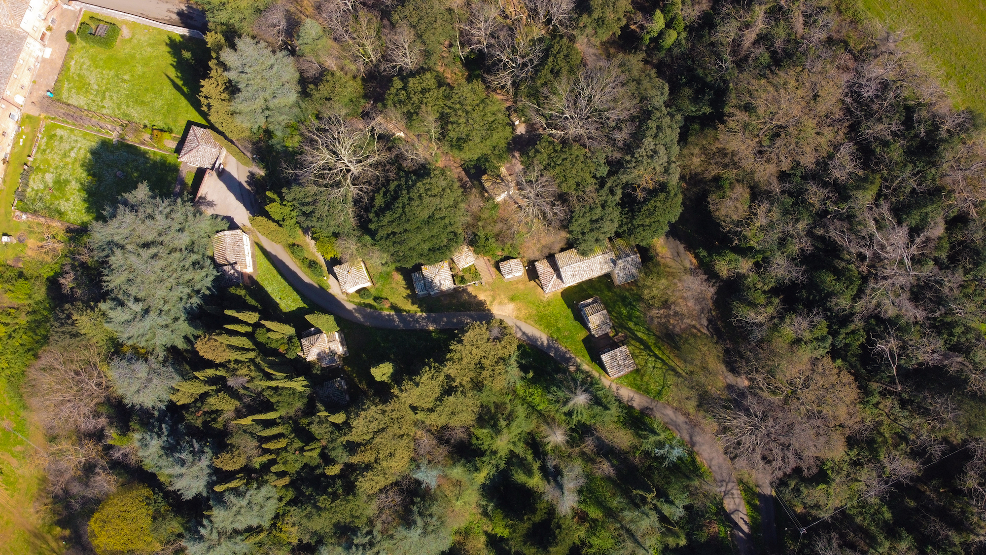 Un bagno di bosco non è semplicemente una passeggiata nel bosco, ma un'esperienza sensoriale completa che mira a ristabilire il contatto con la natura e a migliorare il benessere fisico e mentale