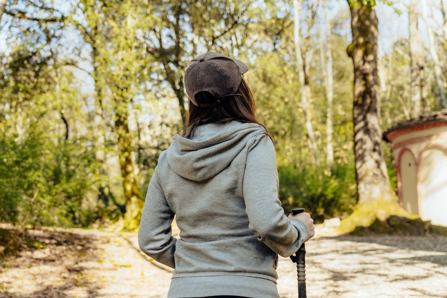 Gita di un giorno a Montaione