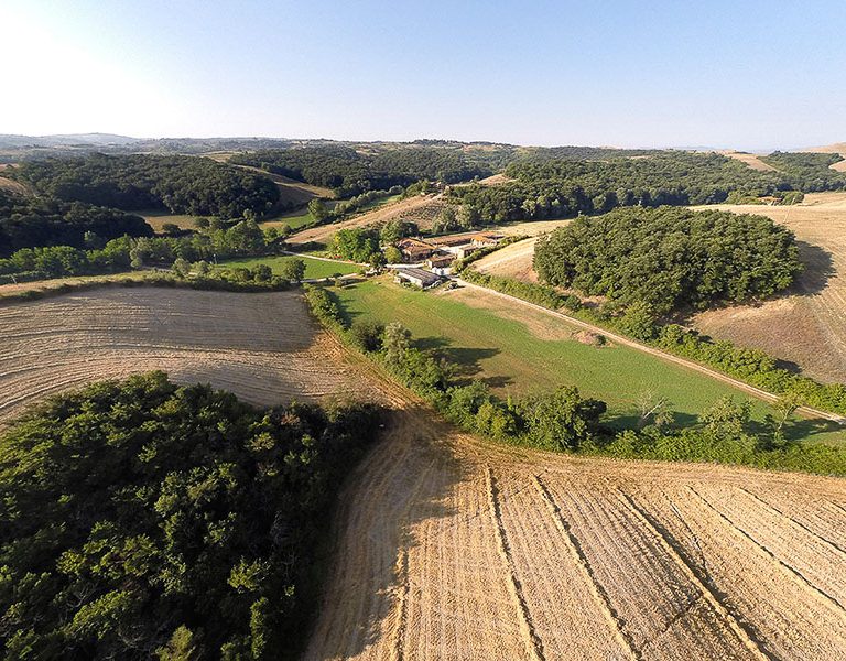 barbialla-nuova_005-768x600