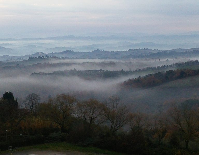 carpe-diem_004-768x600