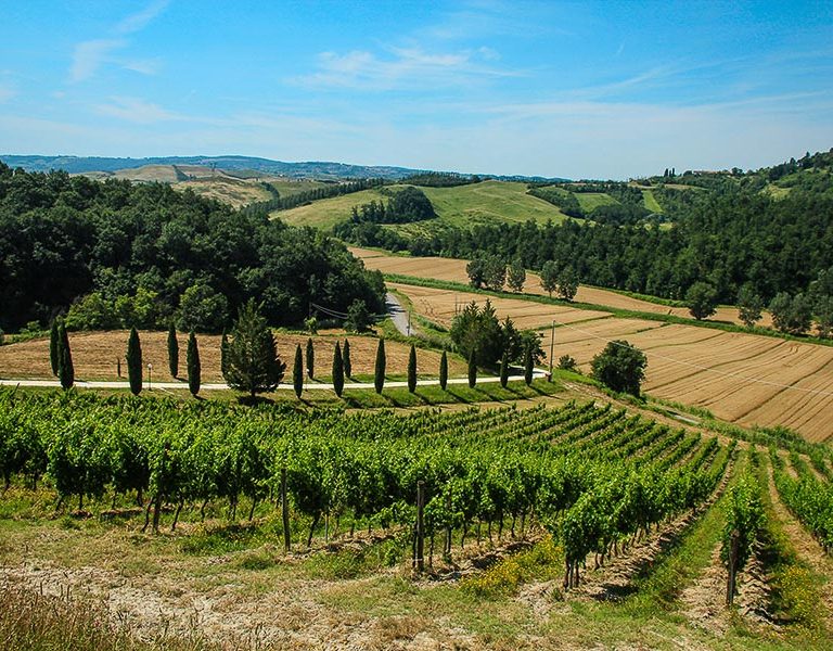 colle-bertini_002-768x600