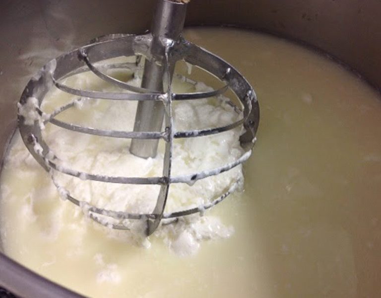 fattoria-lacontadina-03-768x600