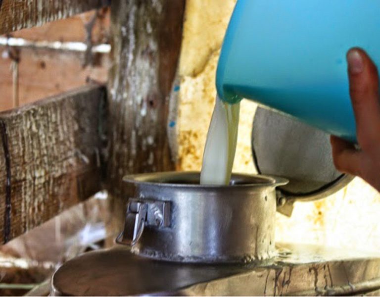 fattoria-lacontadina-04-768x600