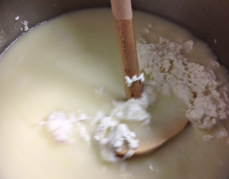 fattoria-lacontadina-05-768x600