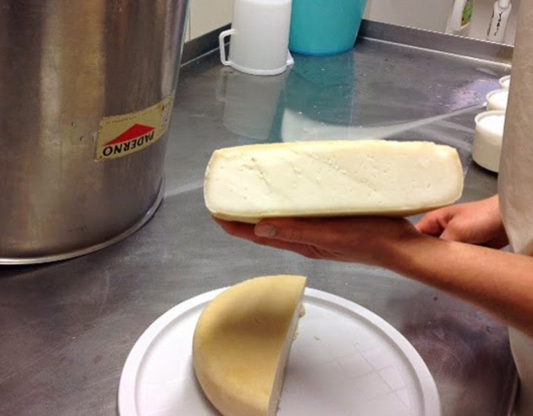 fattoria-lacontadina-07-768x600