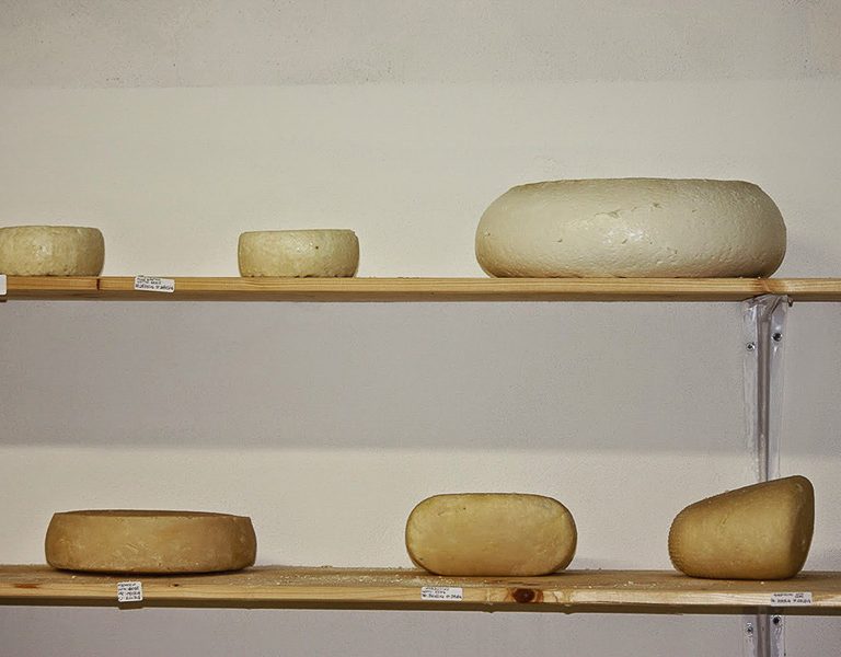 fattoria-lacontadina-09-768x600