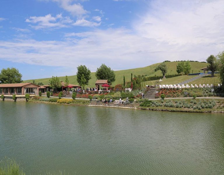 il-lago_004-2-768x600