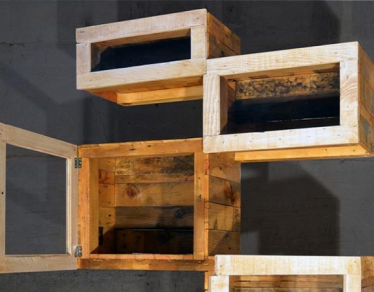 picchio-montaione-06-768x600