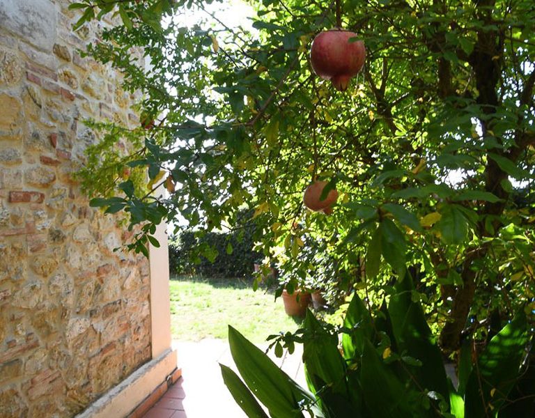 podere-le-monache_004-768x600